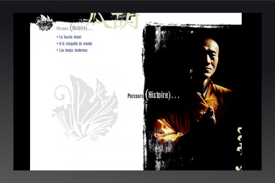 CD-Rom sur le Ginkgo Biloba