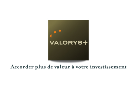 Logotype et Charte graphique Valorys Plus