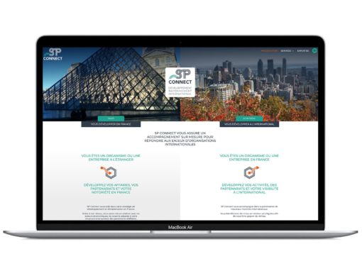 Site web cabinet de développement international